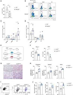 Btn2a2 Regulates ILC2–T Cell Cross Talk in Type 2 Immune Responses